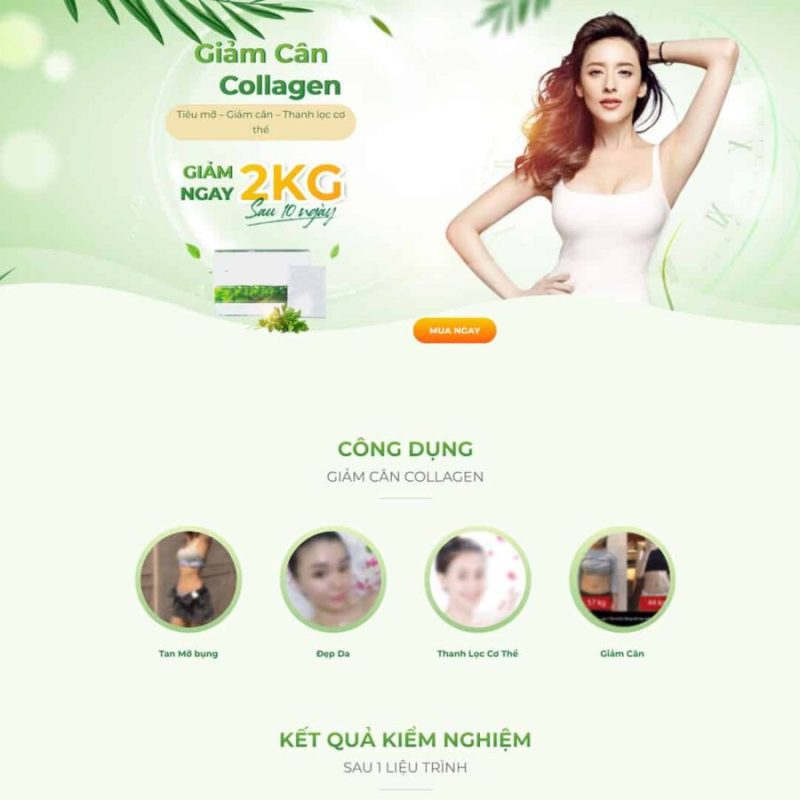 Theme WordPress Landing page bột giảm cân 3