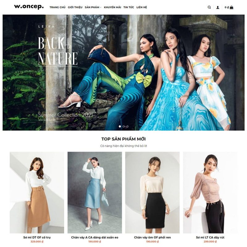 Theme wordpress thời trang 06 3