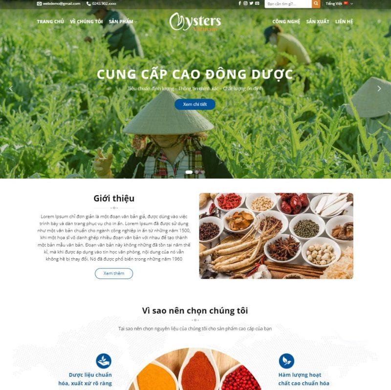 Theme wordpress thực phẩm chức năng 11 3