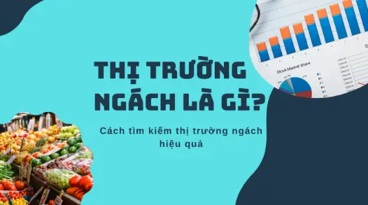 Thị Trường Ngách Tại Việt Nam - Cơ Hội Vàng Cho Doanh Nghiệp Nhỏ 1 Thị Trường Ngách Tại Việt Nam - Cơ Hội Vàng Cho Doanh Nghiệp Nhỏ 1