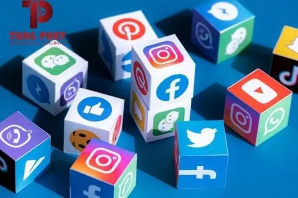 Quy trình chăm sóc Social Entity từng bước chi tiết nhất 2021