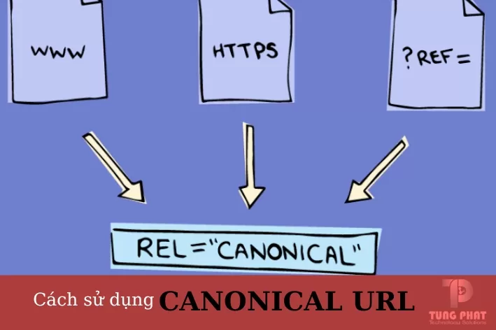 Canonical URL là gì và cách sử dụng nó một cách đúng đắn? 2 canonical-url