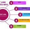 Gói TL-5 1 goi-text-link-25-dau-bao