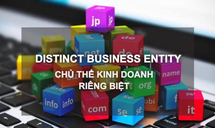 Business Entity là gì