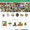 Theme wordpress bán cây xanh terrarium 2