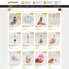 Theme wordpress flatsome Shop 03