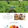 Theme wordpress thực phẩm chức năng 11 1