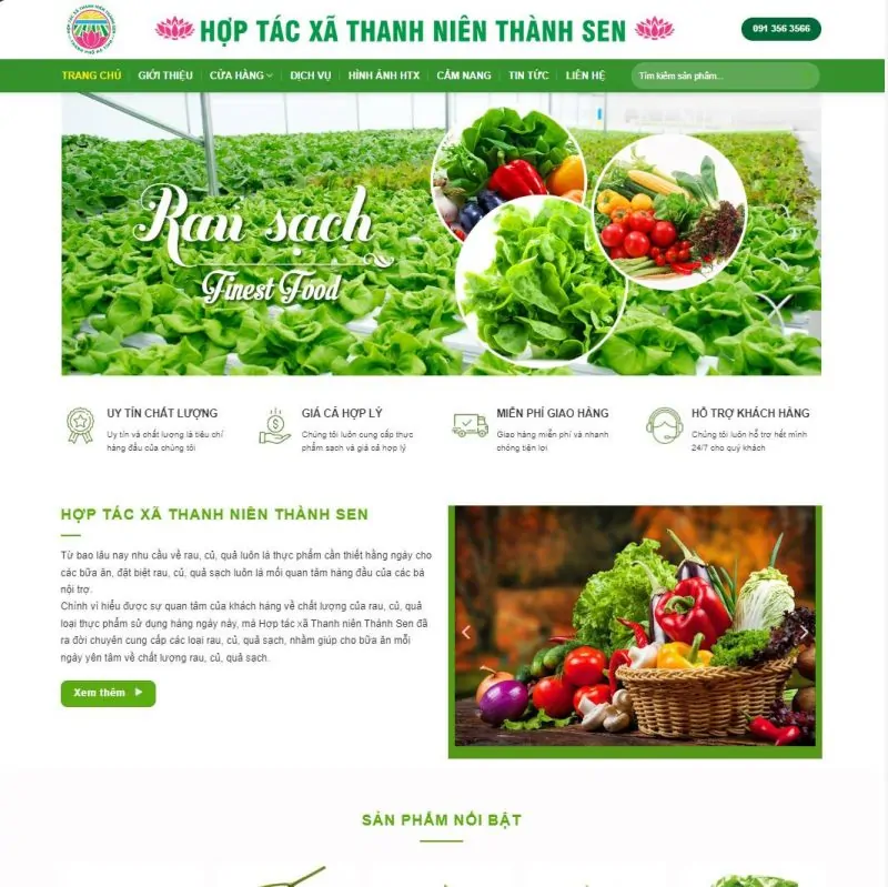 Theme wordpress thực phẩm sạch 08 2